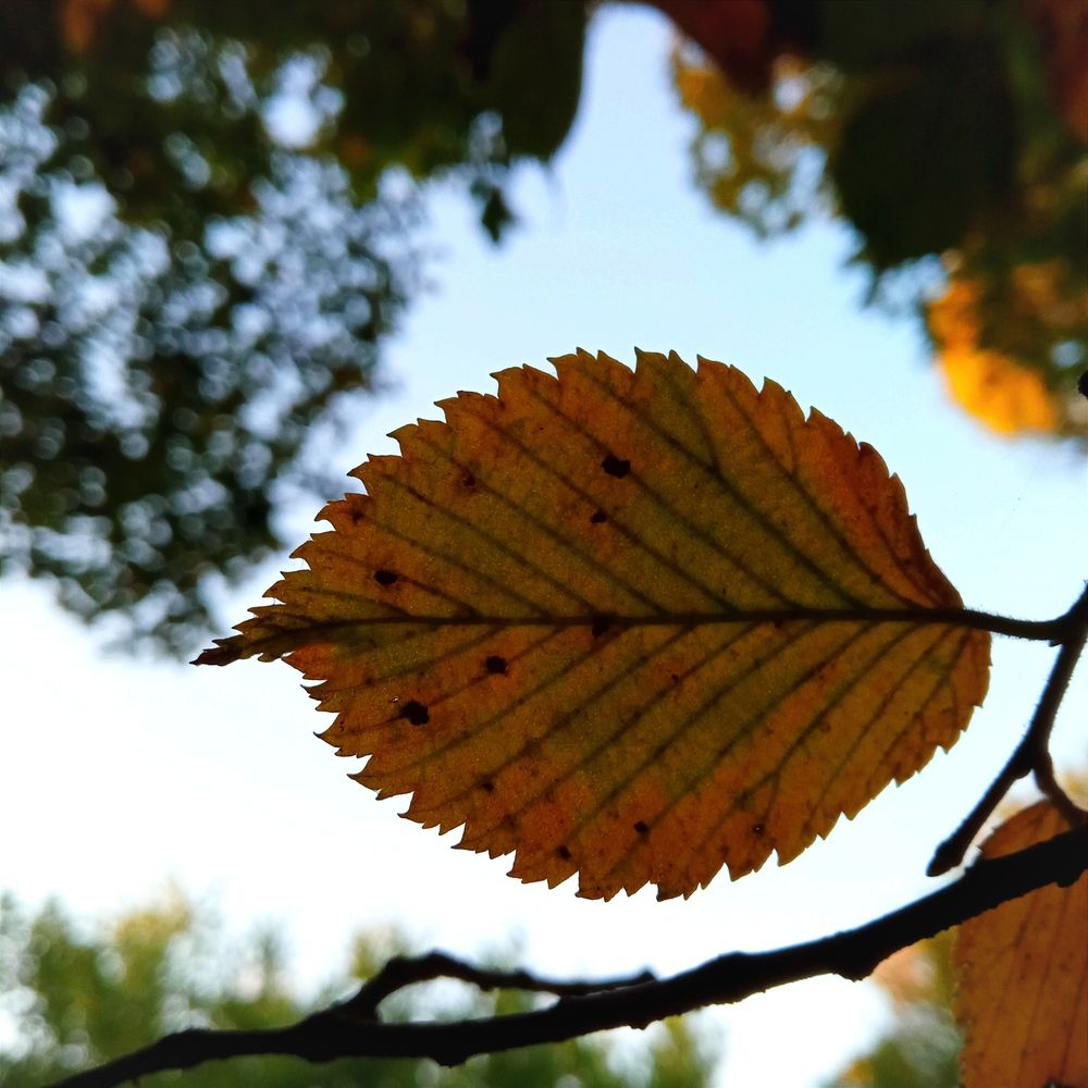 Photograph by Светлана Ищенко
