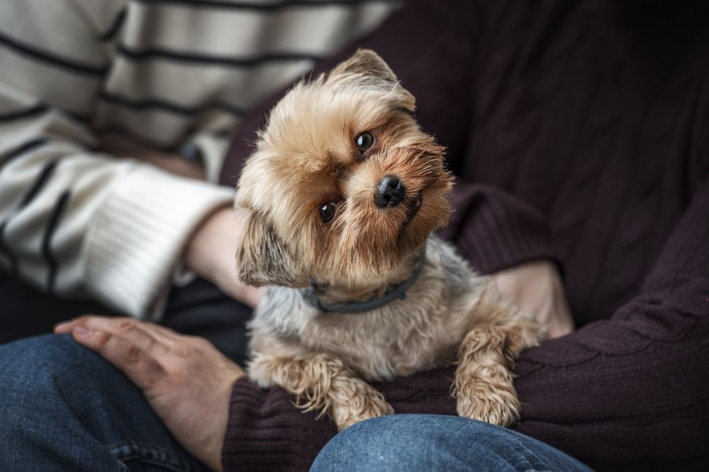 Photograph by Tamara Lebón Sánchez