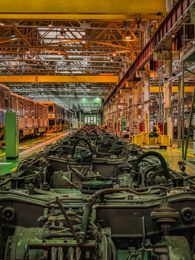 Фотография автора Александра Зимина