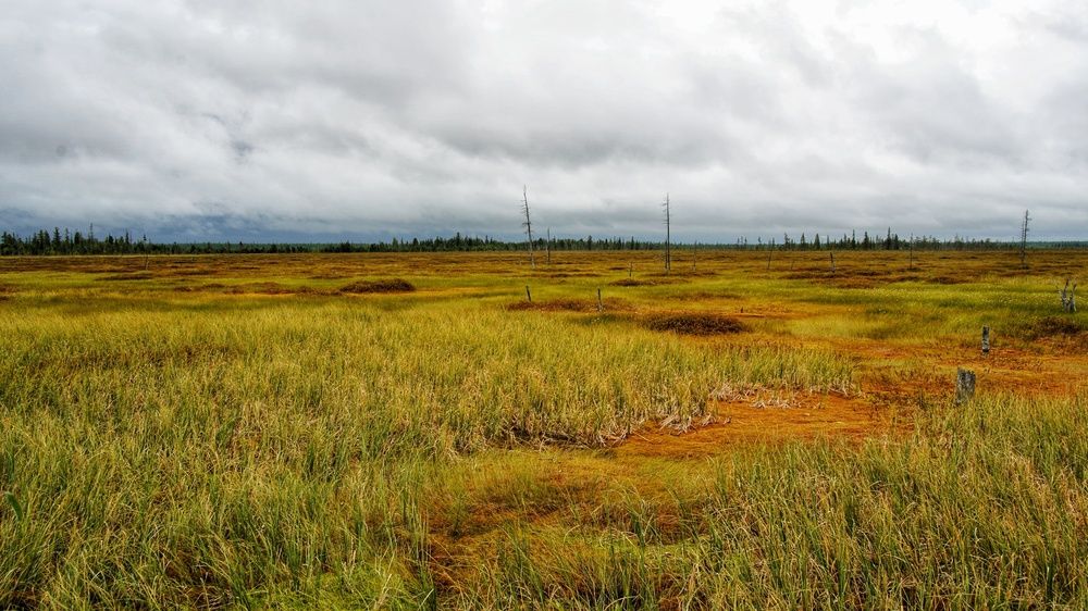 Photograph by Alexandr Klyuev