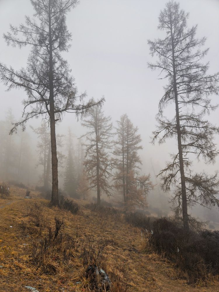 Photograph by Кузнецов Дмитрий