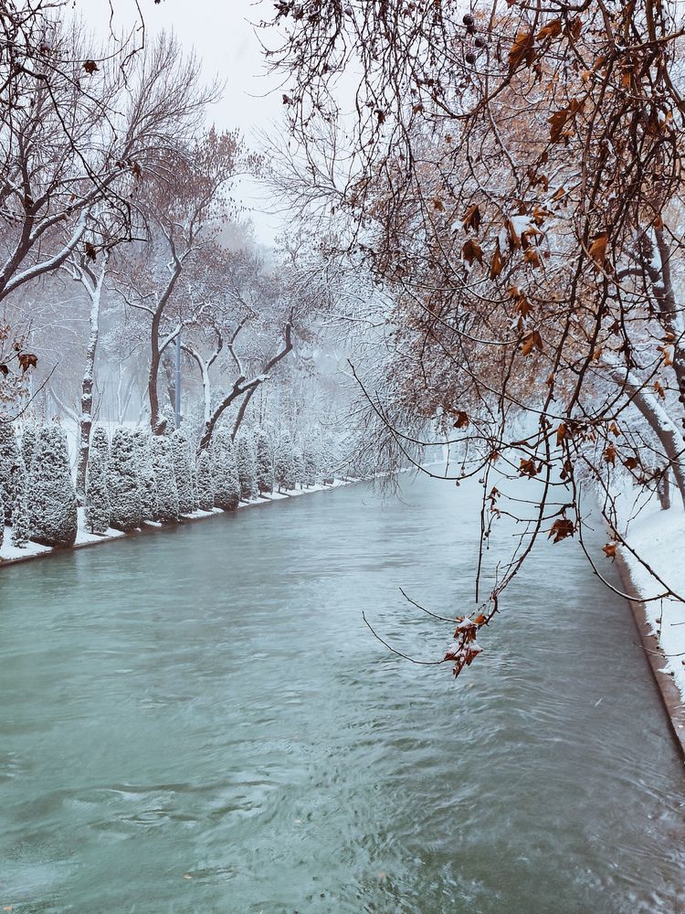 Photograph by Irina Grass