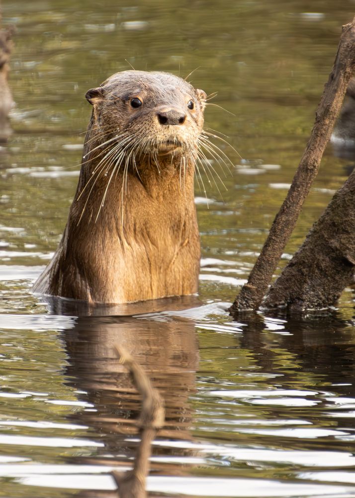 Photograph by Juan Alonso Gutiérrez