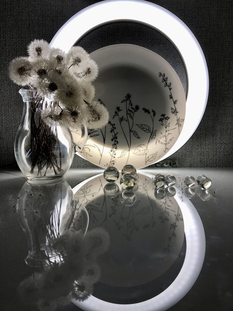 Одуванчики.