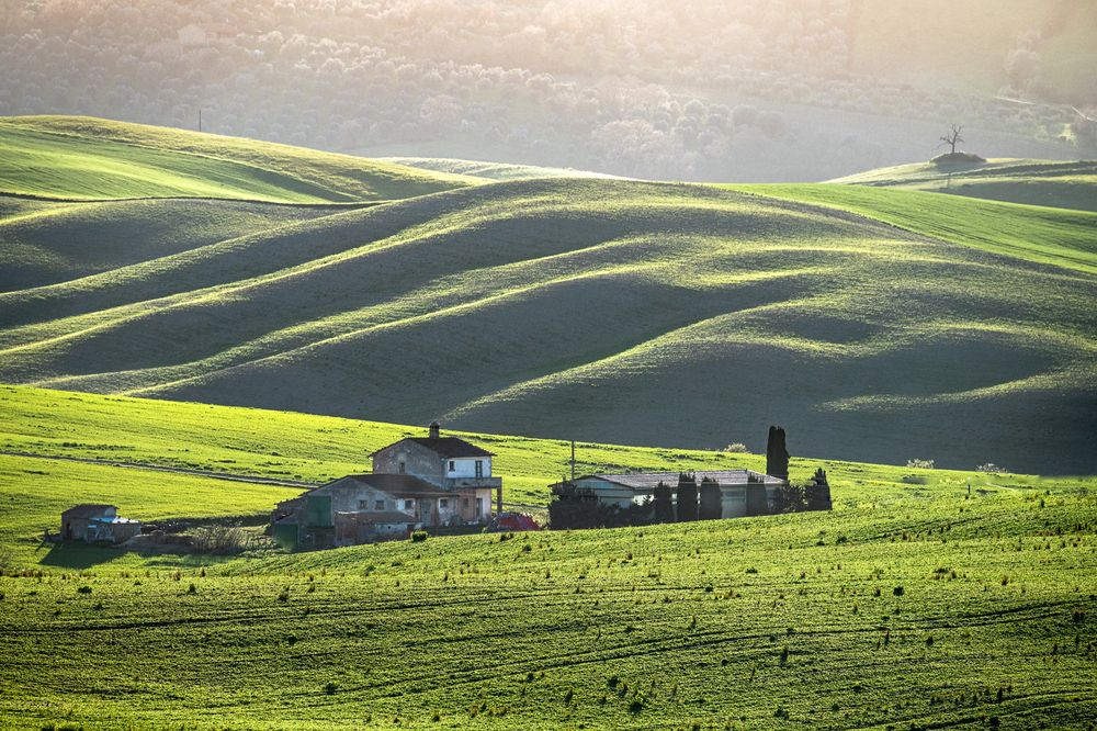 Photograph by ПАВЕЛ