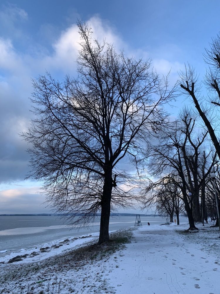 Фотография автора Ирина Шпаковская
