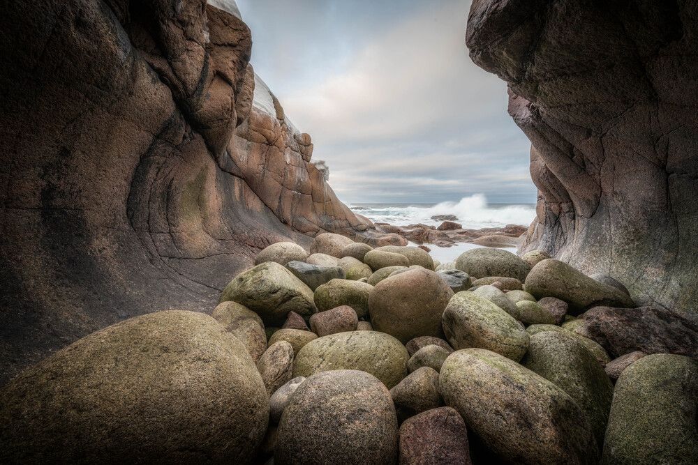 Гнездо дракона