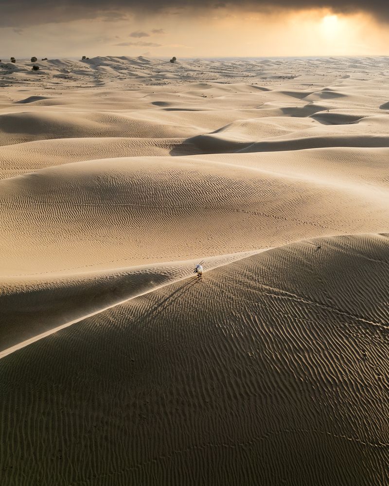 Photograph by Rémi Vacher