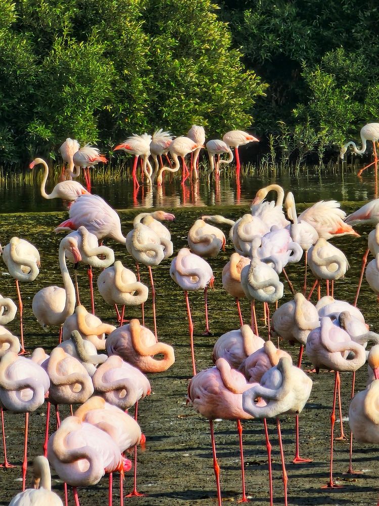 Photograph by Lera Mingova