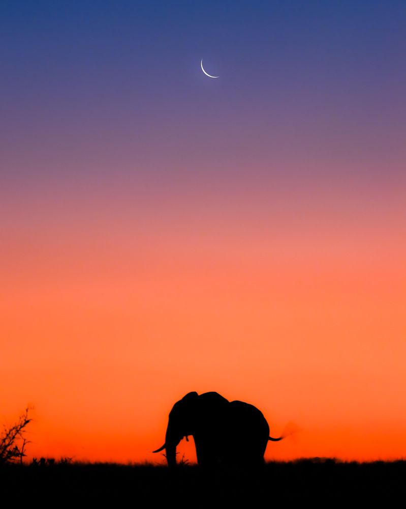 Photograph by Rémi Vacher