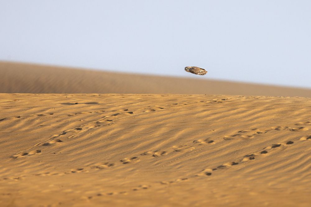 Photograph by Rémi Vacher