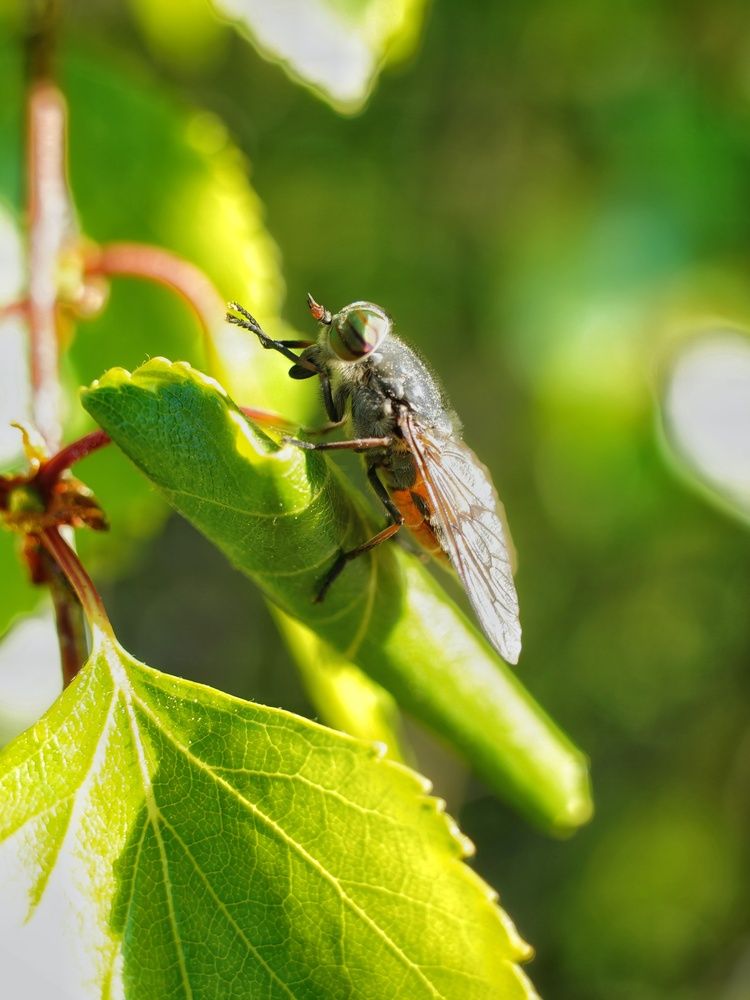 Photograph by Alexandr Klyuev