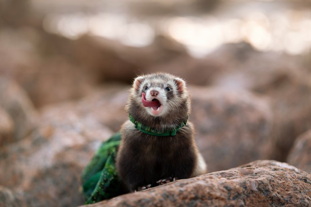 Photograph by Kovaleva Irina