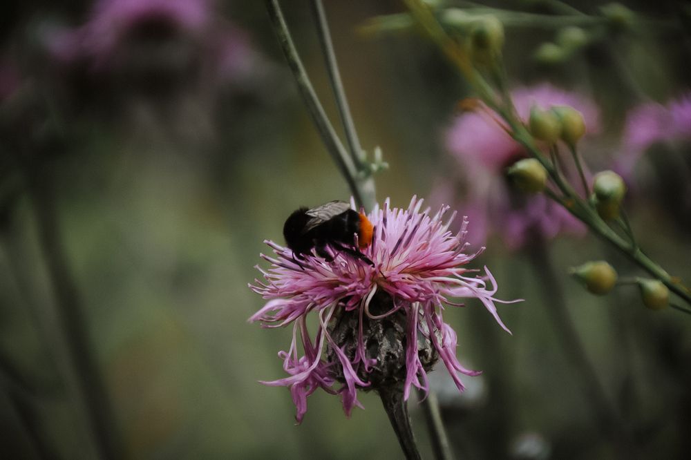 Photograph by Алёна