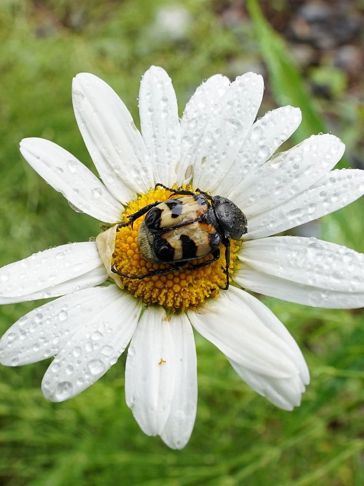 Photograph by Alexandr Klyuev