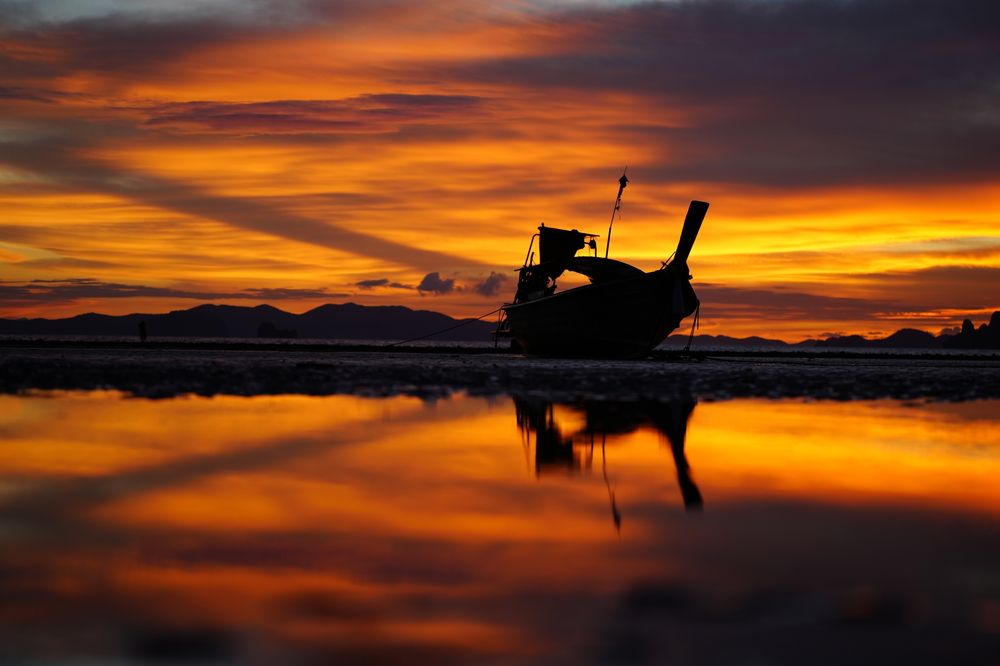 Фотография автора Светлана Зимина