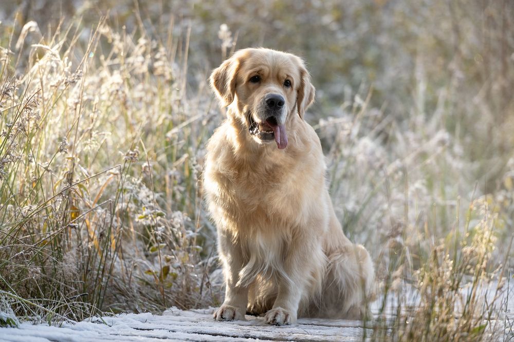 Photograph by Kovaleva Irina