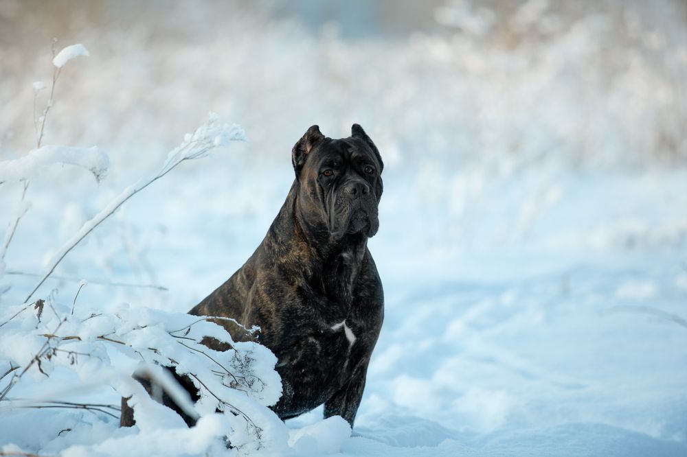 Photograph by Kovaleva Irina