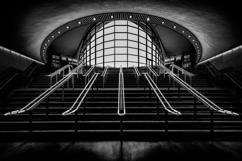 Photograph by Zhenhuan Zhou