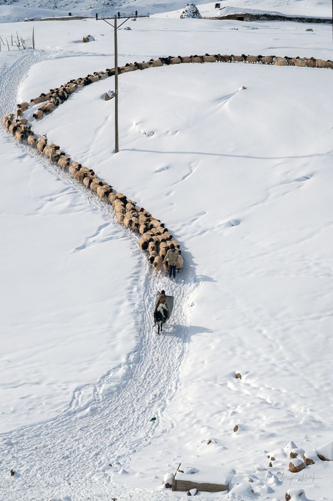 Photograph by Onder Kokturk