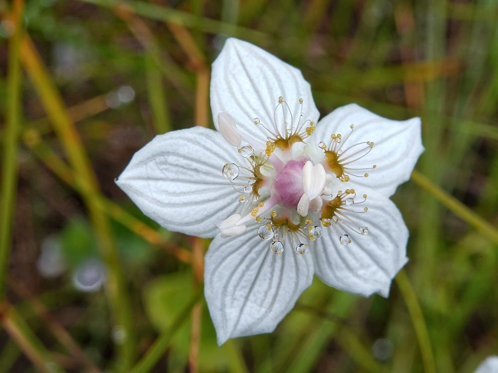 Photograph by Alexandr Klyuev