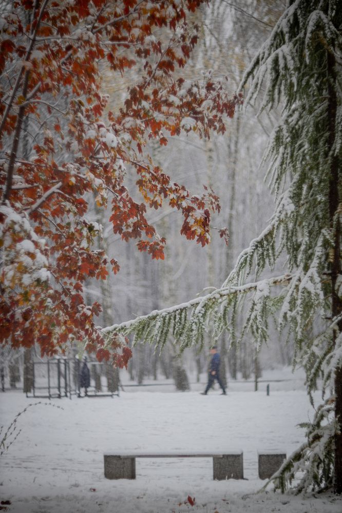Фотография автора Илья Милорадов