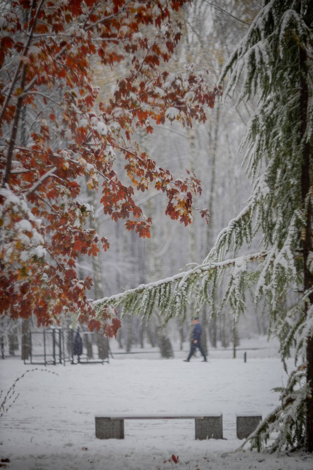 Фотография #11942015