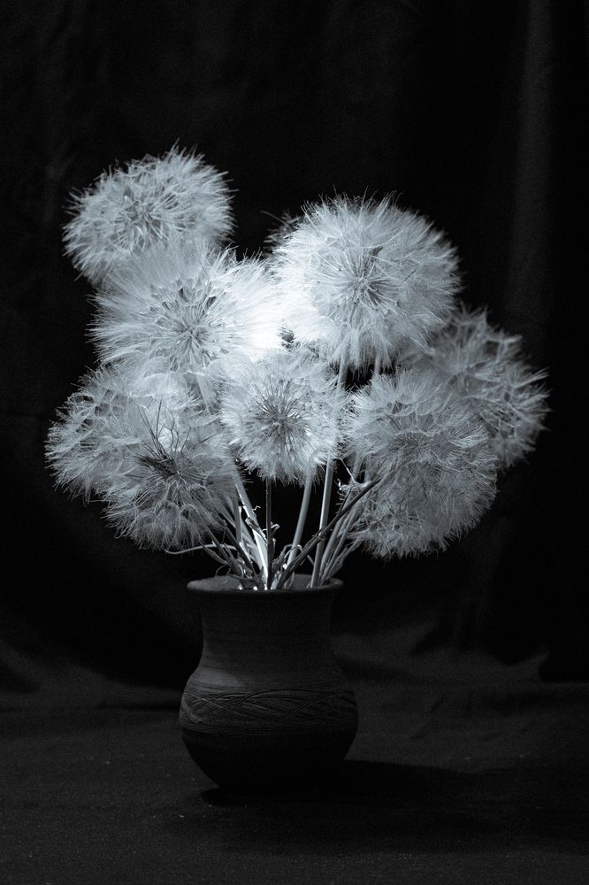 Photograph by Наталья Максимова