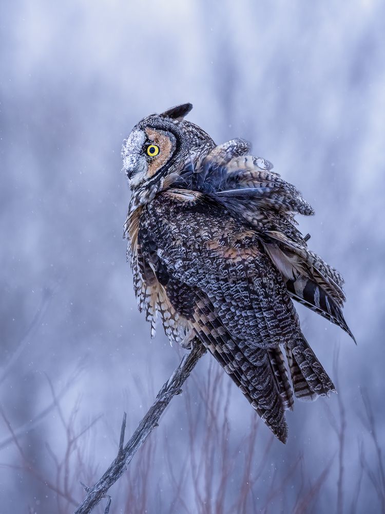 Photograph by Zhenhuan Zhou