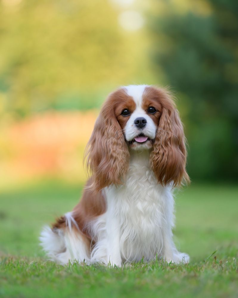 Photograph by Kovaleva Irina