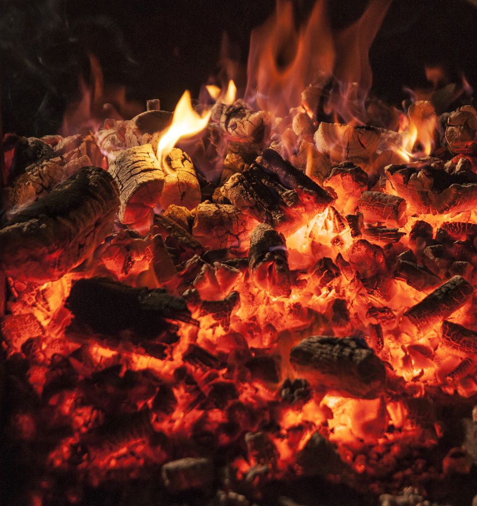 Фотография автора ZILL NIAZI