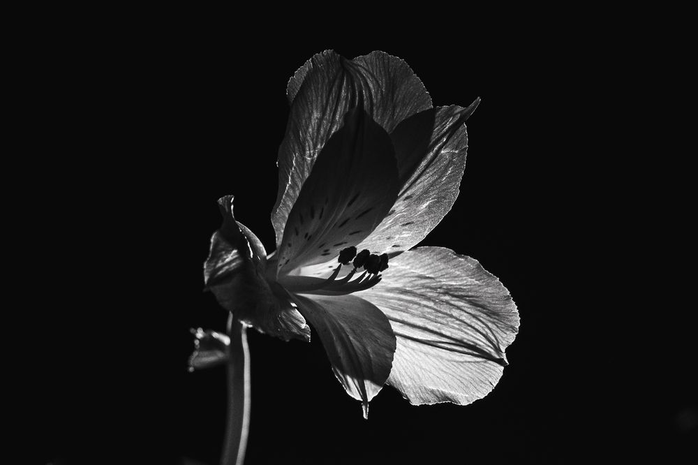 Photograph by Наталья Максимова