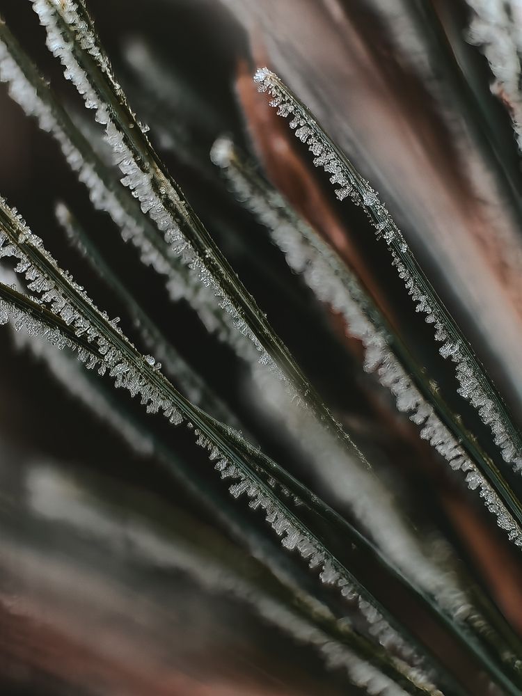 Photograph by Татьяна Котова