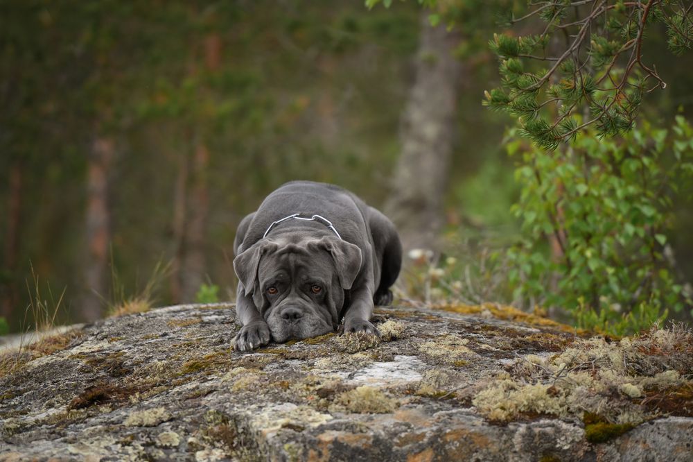 Photograph by Kovaleva Irina