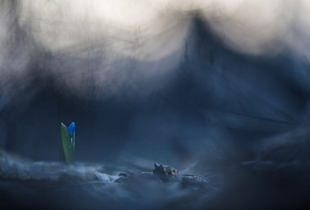 Photograph by Викулов Николай