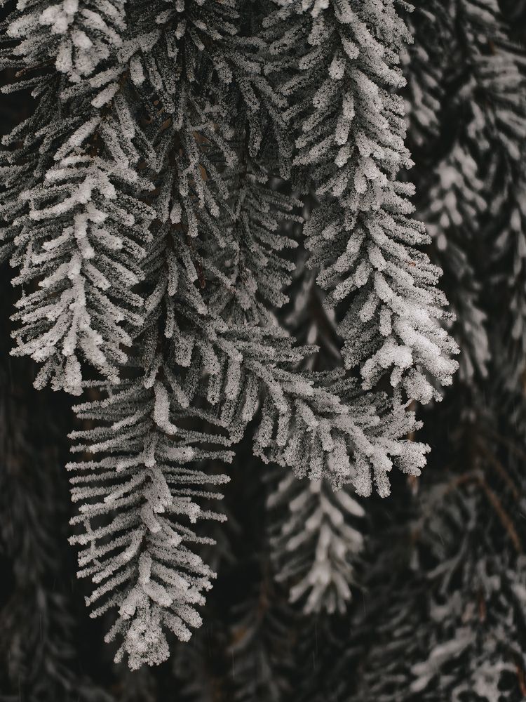 Photograph by Татьяна Котова