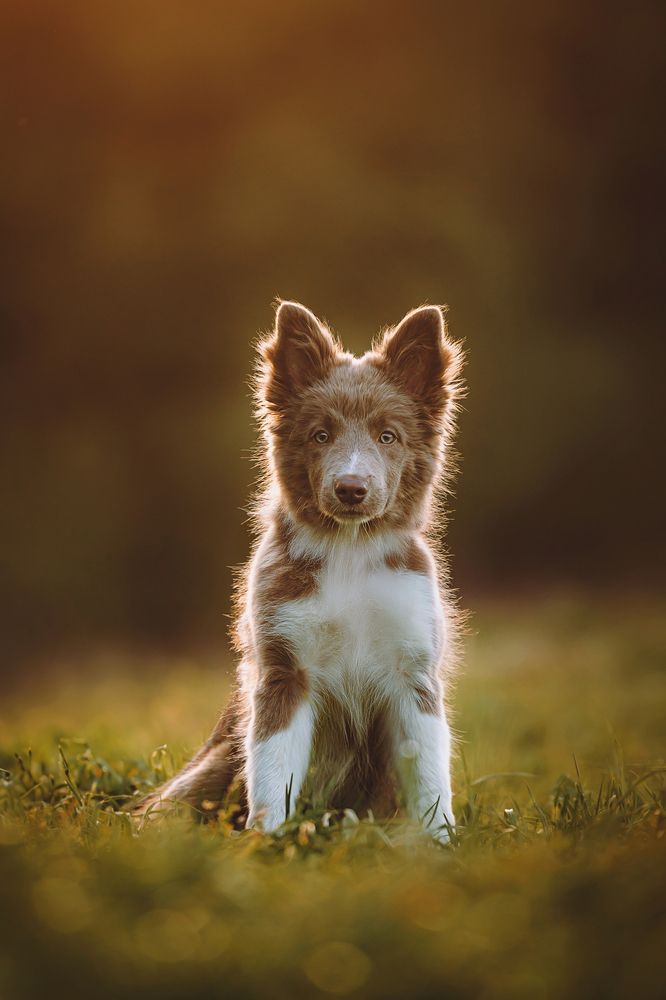 Фотография автора Екатерина Киреева