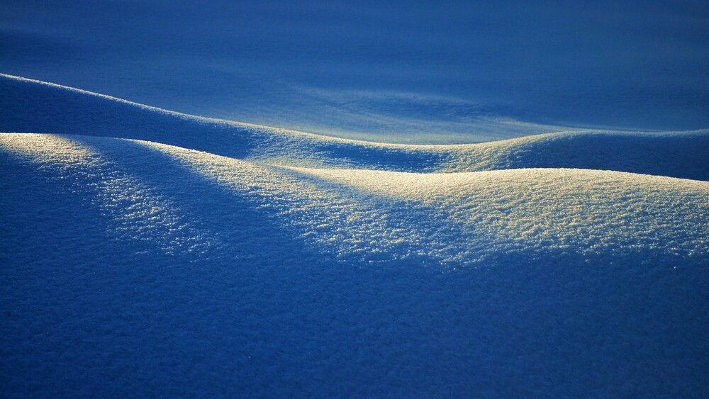 Фотография автора ZILL NIAZI