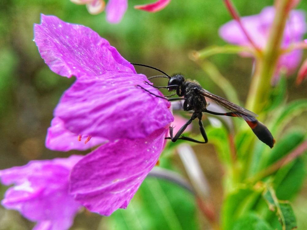 Photograph by Alexandr Klyuev