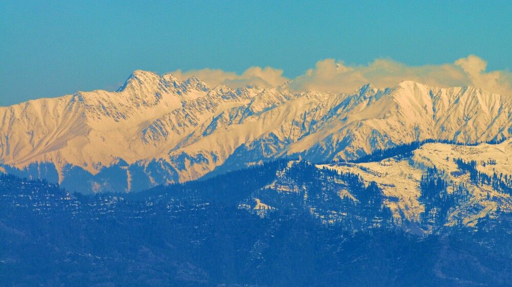 Фотография автора ZILL NIAZI