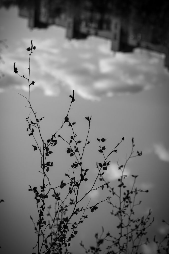 Photograph by Svetlana Savilova