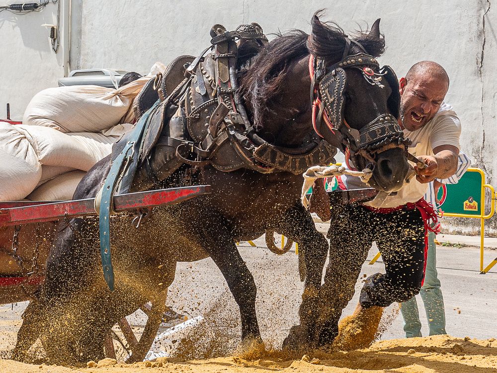 Photograph by Vicente Alberto Roses