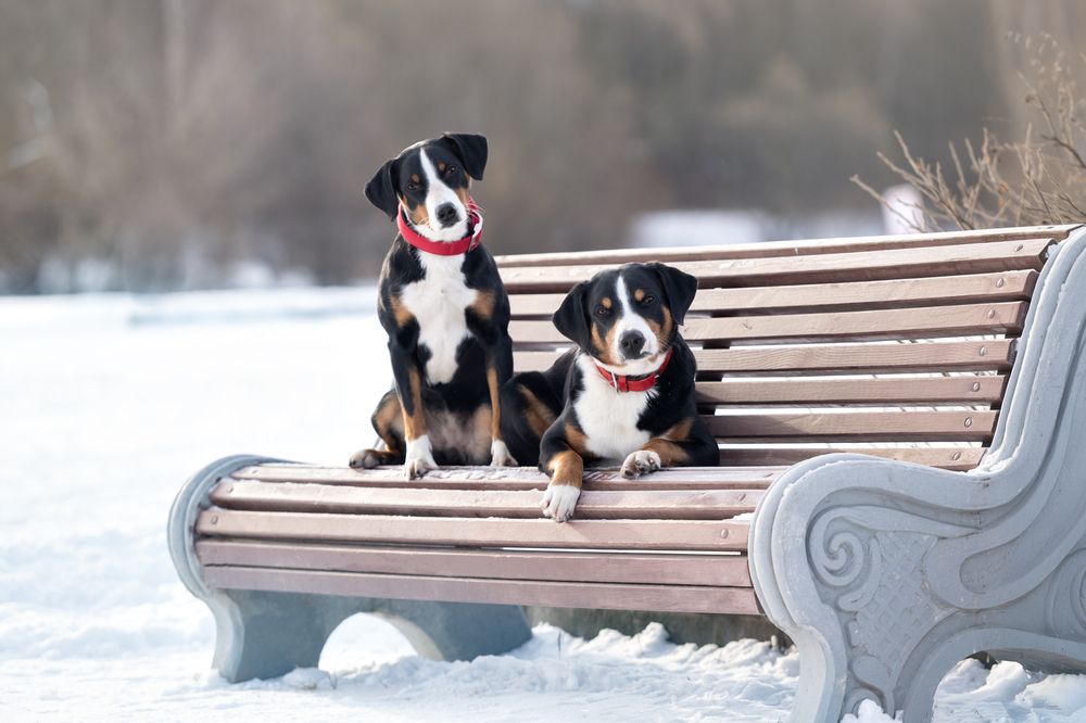 Photograph by Kovaleva Irina