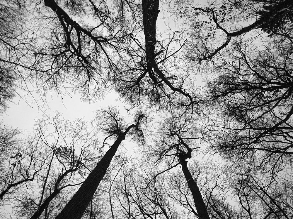 Photograph by Виталий Маслов