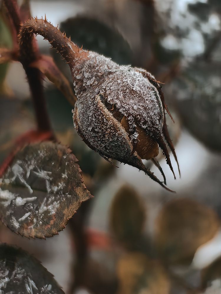 Photograph by Татьяна Котова