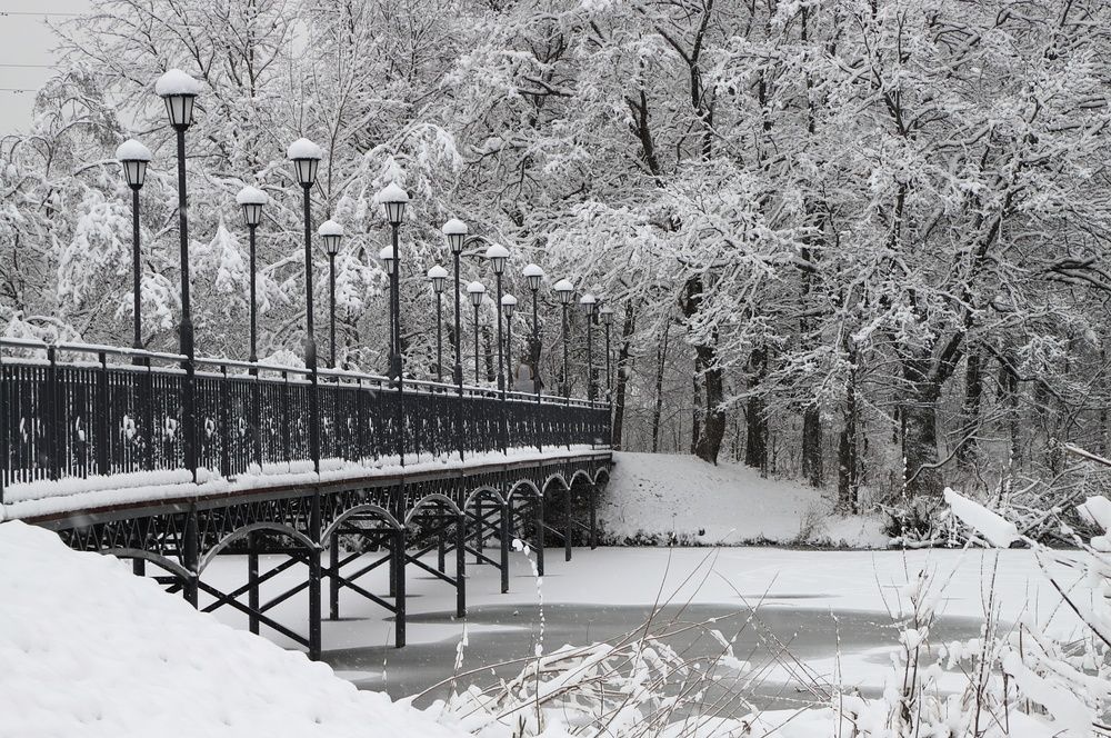 Photograph by Мария Андреева