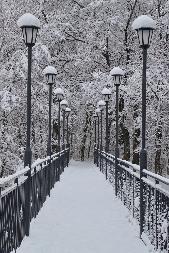 Photograph by Мария Андреева