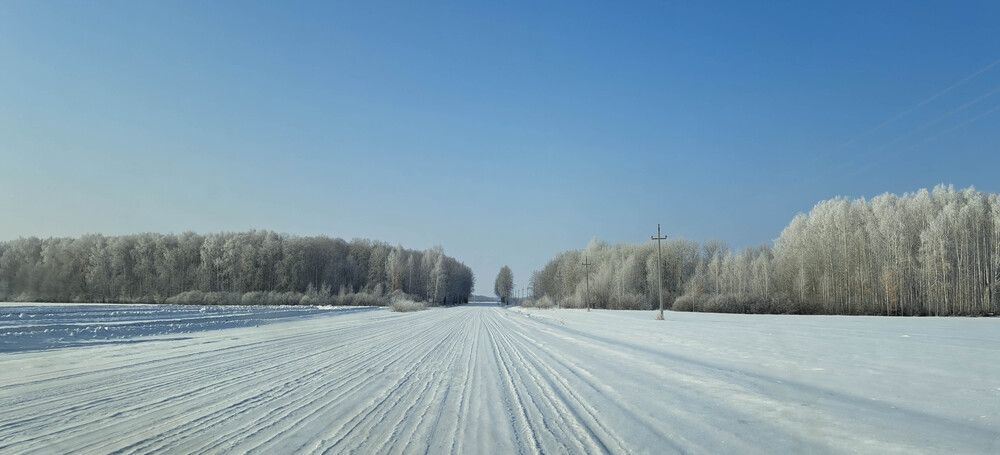 Photograph by Алена Менщикова