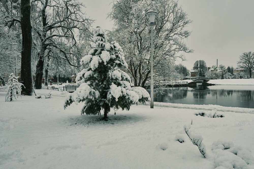 Фотография автора Александр Асланов