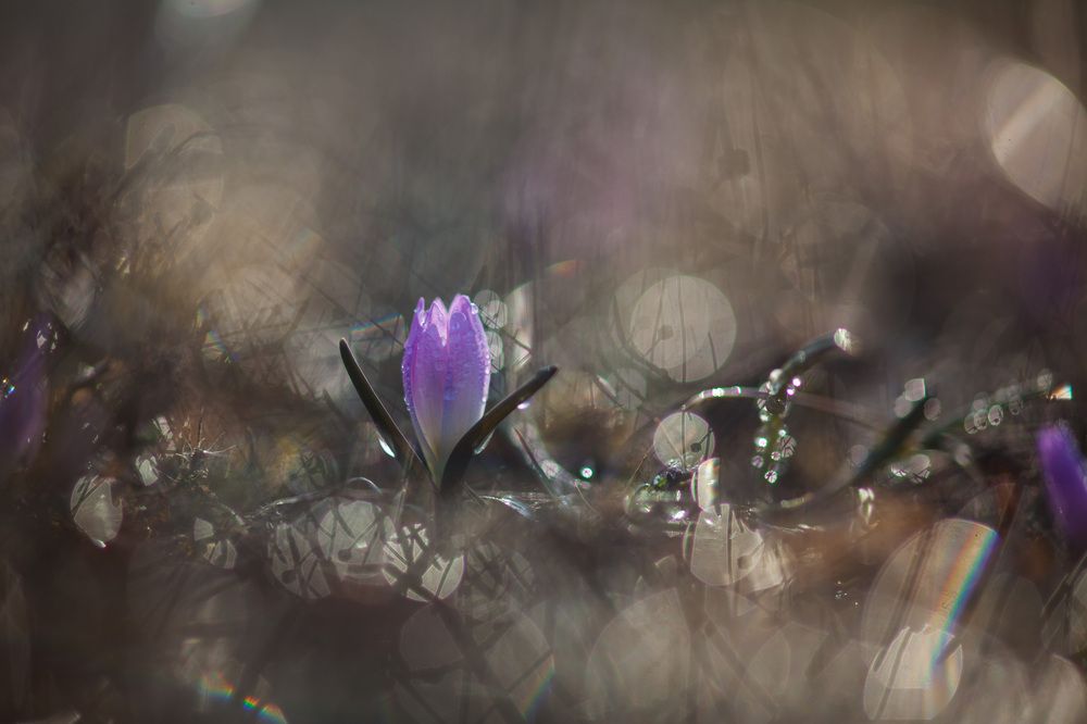 Photograph by Викулов Николай